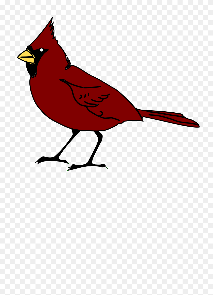 2400x3394 Cardinal Head Mascot Clipart Free All About Clipart - Sears Tower Clipart