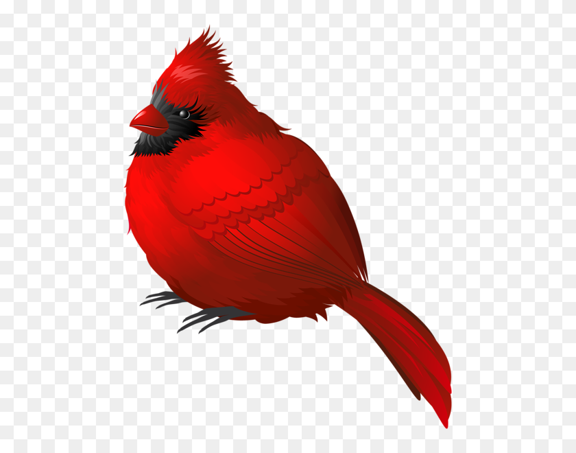 487x600 Cardinals Birds, Cardinal - Snow Pile PNG