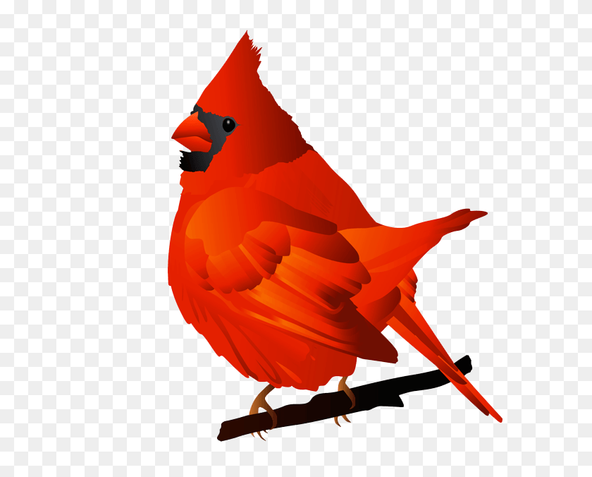 600x616 Cardinals Cliparts - Cardinal Clipart