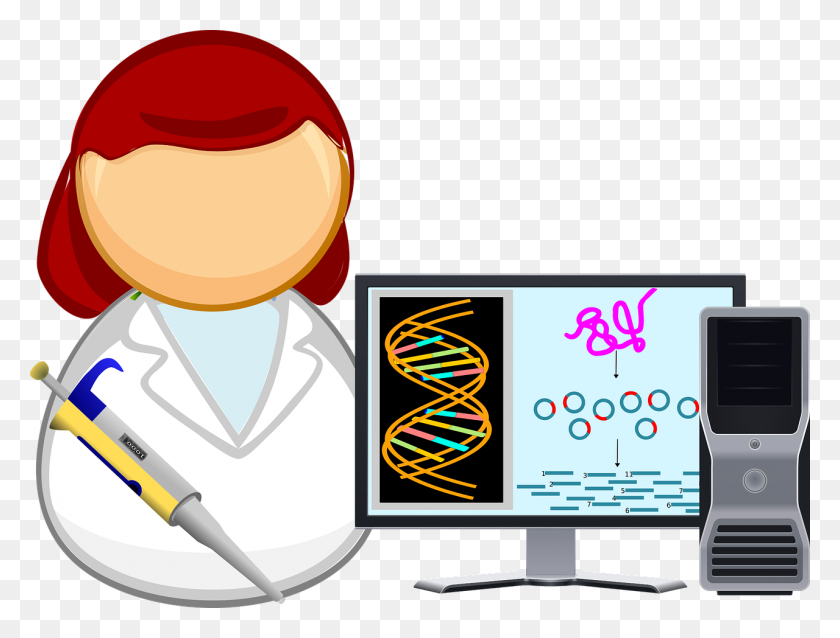 1280x950 Careers For Phd Scientists Scientific Phd - Body Systems Clipart