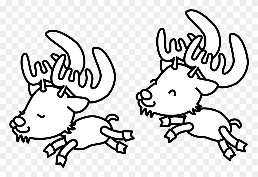 2400x1596 Caribou Clipart Coloring Page - Coloring Clipart