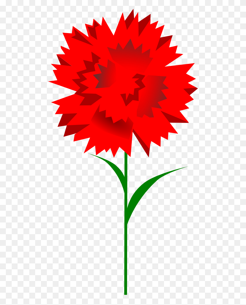 512x982 Carnation Clipart - Carnation PNG