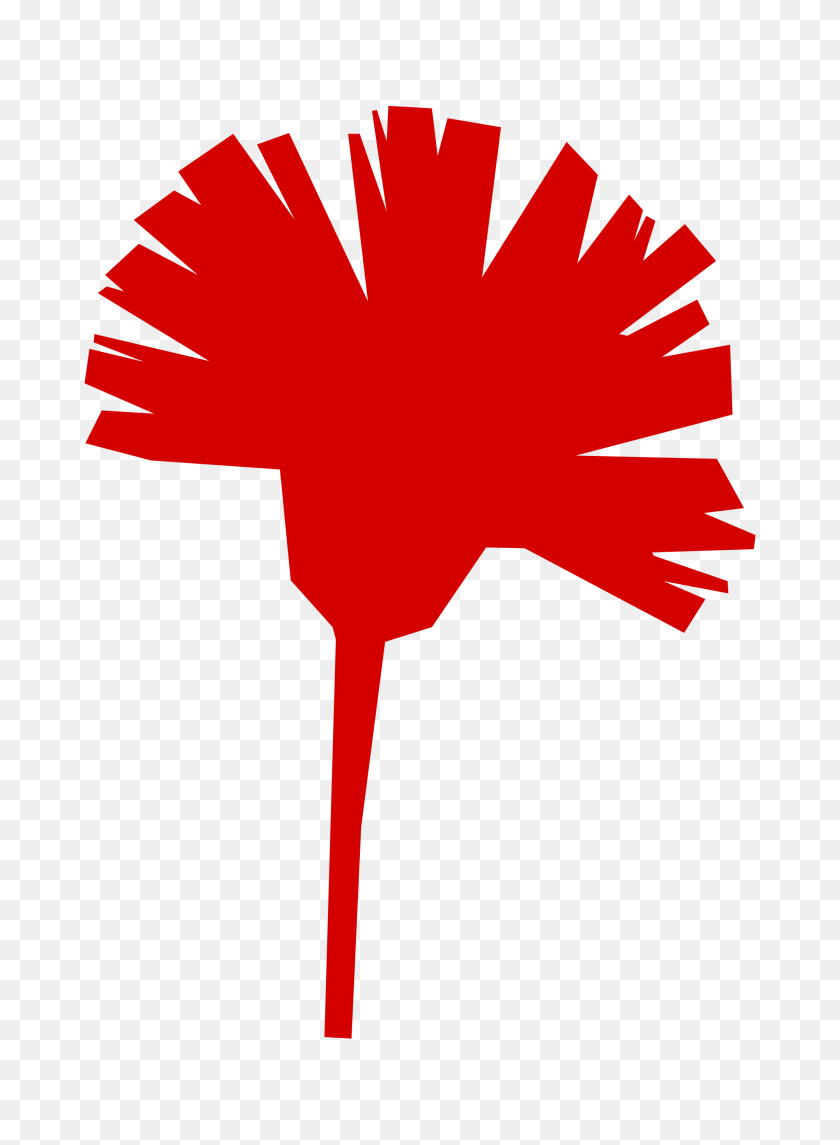 2000x2784 Carnation Fully Red Icon - Carnation PNG