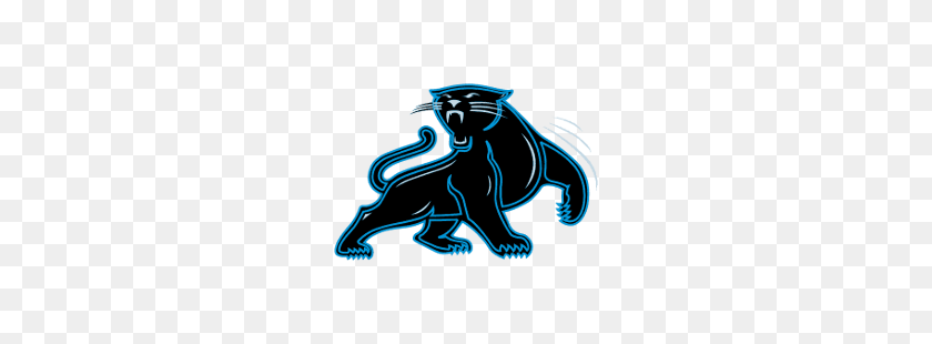 250x250 Carolina Panthers Alternate Logo Sports Logo History - Panther PNG