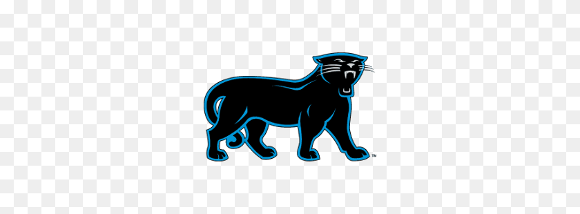 250x250 Carolina Panthers Logotipo Alternativo Logotipo De Deportes De La Historia - Logotipo De Las Panteras Png