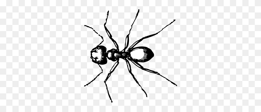 300x300 Carpenter Ant Clip Art - Carpenter Clipart Black And White