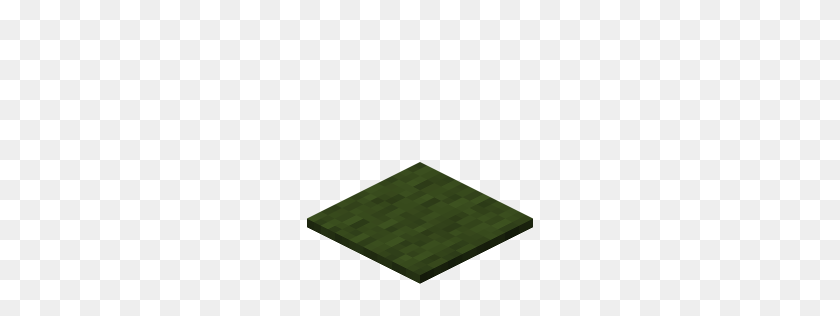 256x256 Carpet - Minecraft Grass Block PNG