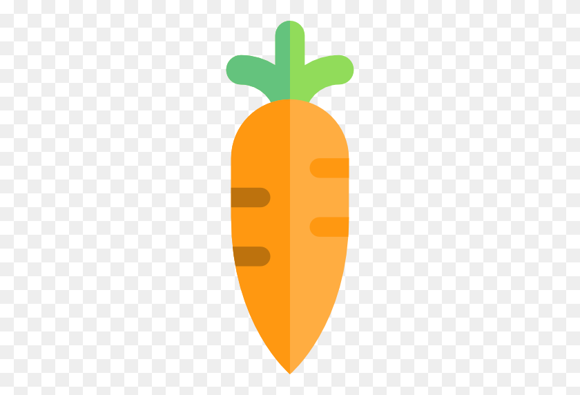 512x512 Морковь - Морковь Png