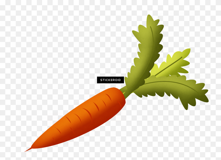 2738x1933 Морковь - Морковь Png