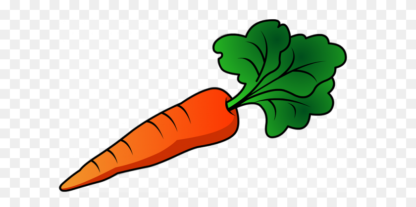 960x443 Carrot Carrot Clipart Vegetables Png Image And Clipart For Free - Carrot Clipart PNG