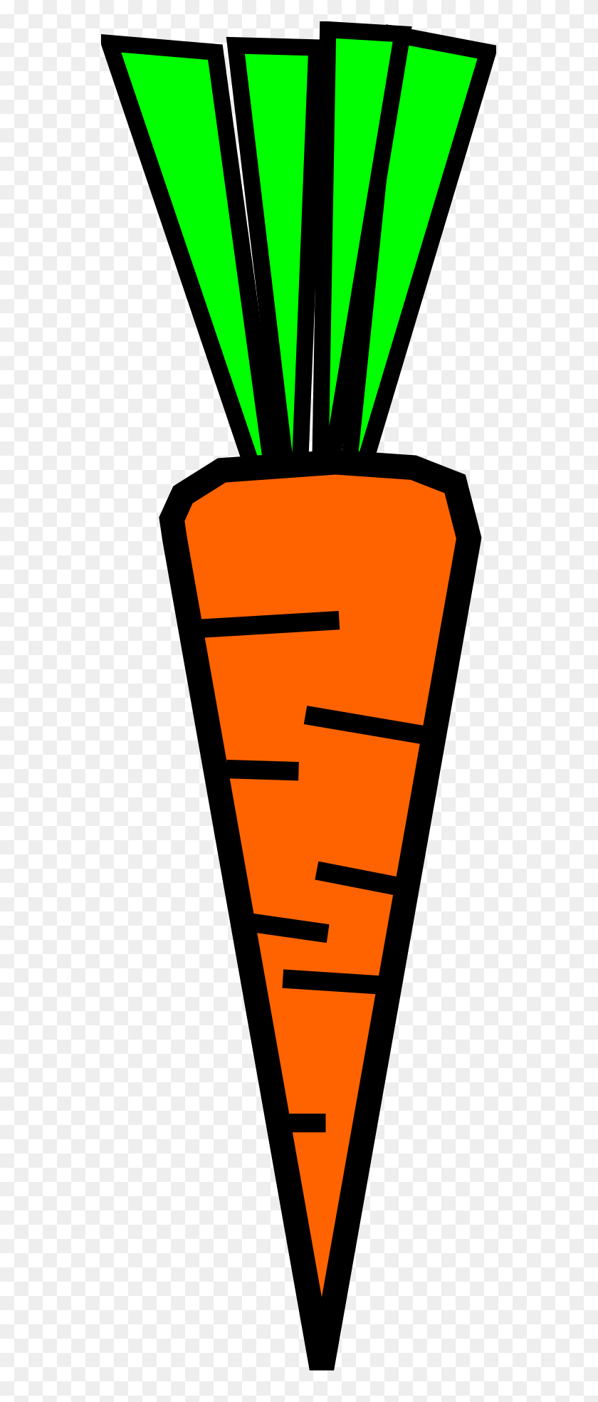 555x1909 Carrot Clip Art - Zucchini Clipart