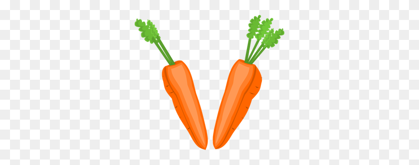 300x271 Carrot Clip Art Vector - Veggie Clipart