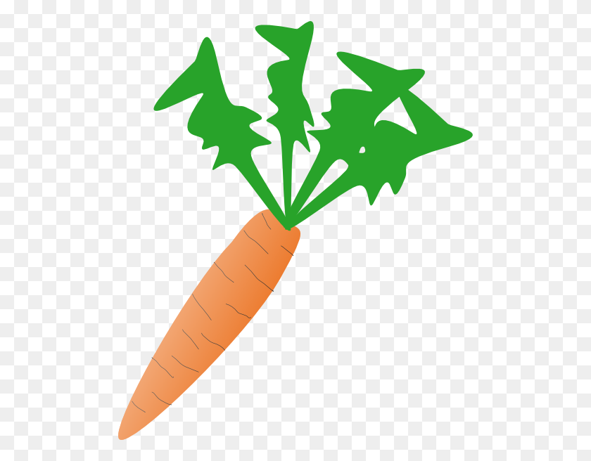 504x596 Морковный Клипарт - Морковный Черно-Белый Клипарт
