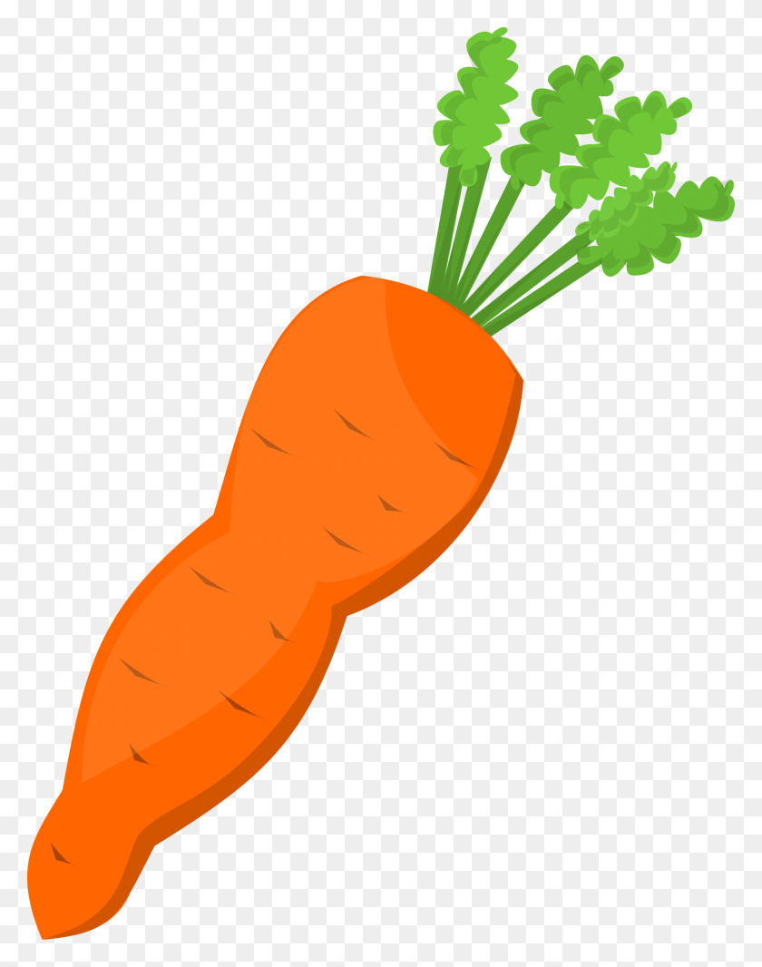1859x2400 Carrot Clipart - Celery Clipart Black And White