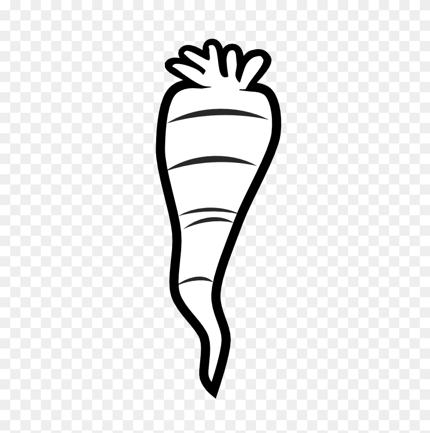 555x785 Carrot Clipart Black And White - Tomato Clipart Black And White