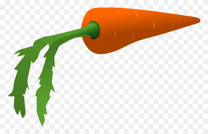 800x494 Carrot Clipart Long - Veggie Clipart
