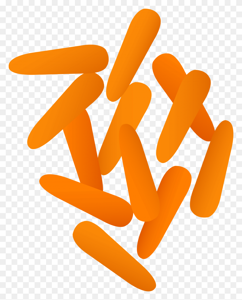 3069x3866 Carrot Clipart The Cliparts Png - Carrot Clipart