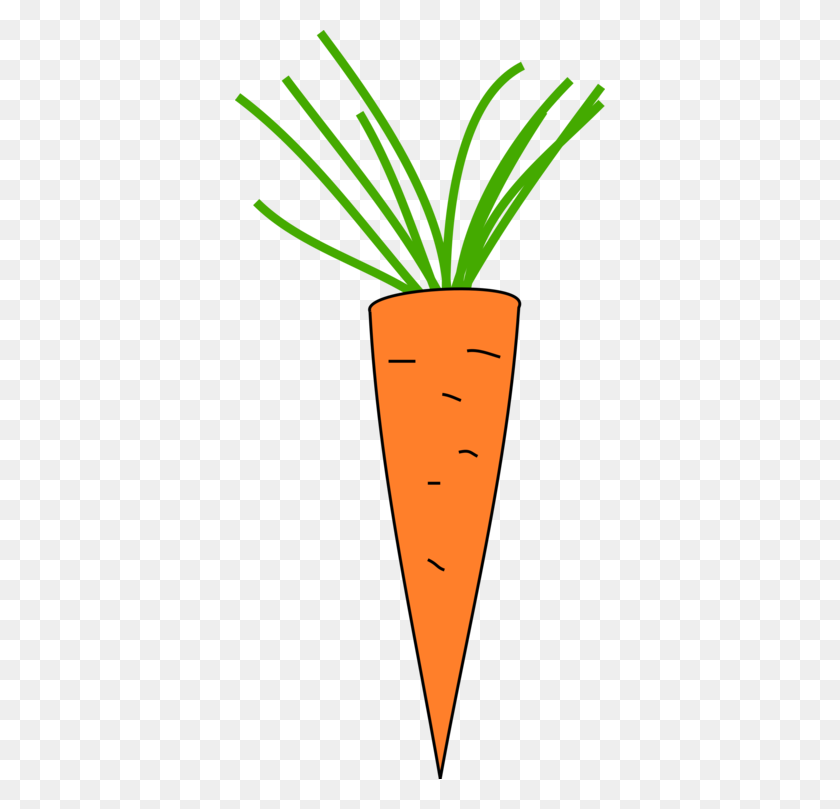 370x749 Carrot Computer Icons Download - Carrot Clipart Free