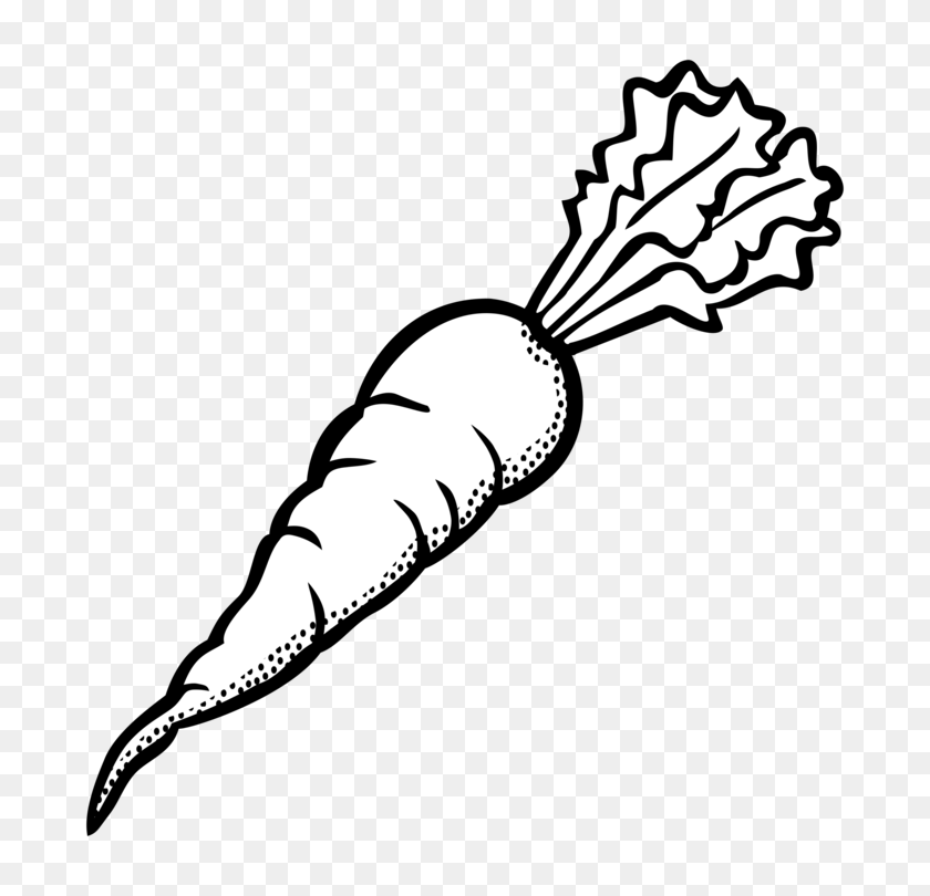 732x750 Морковный Рисунок Черно-Белые Линии Искусства Снеговик - Морковь Черно-Белый Клипарт