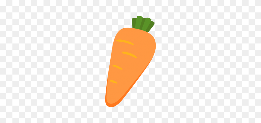 336x336 Carrot Free Png And Vector - Carrot PNG
