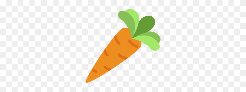 256x256 Carrot Icon Myiconfinder - Veggies PNG