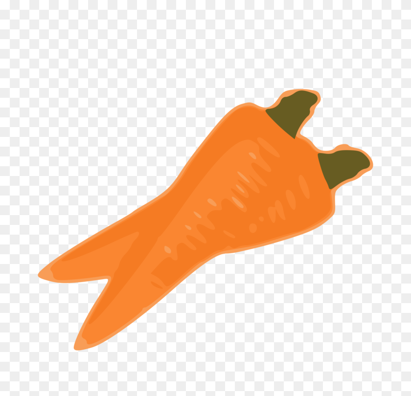 750x750 Carrot Nose Computer Icons Vegetable Drawing - Carrot Nose Clipart