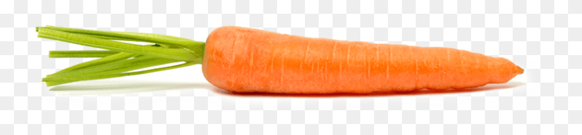 800x140 Carrot Png Transparent Images - Carrot PNG