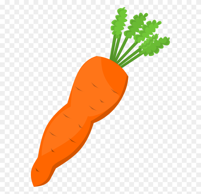 581x750 Морковный Салат Скачать Овощи - Салат Клипарт