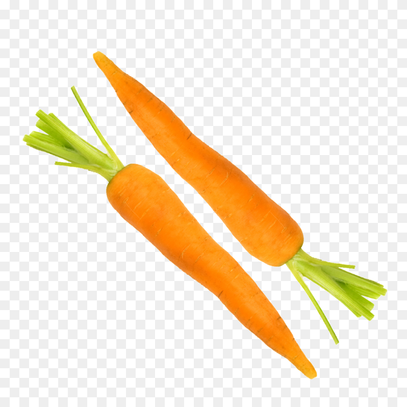 1024x1024 Морковь Png Изображения