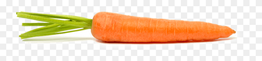 850x149 Carrot Vegetable Png Png - Carrots PNG