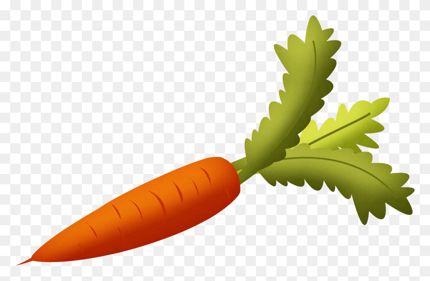 2542x1595 Морковь Морковь, Овощи - Клипарт Для Виски