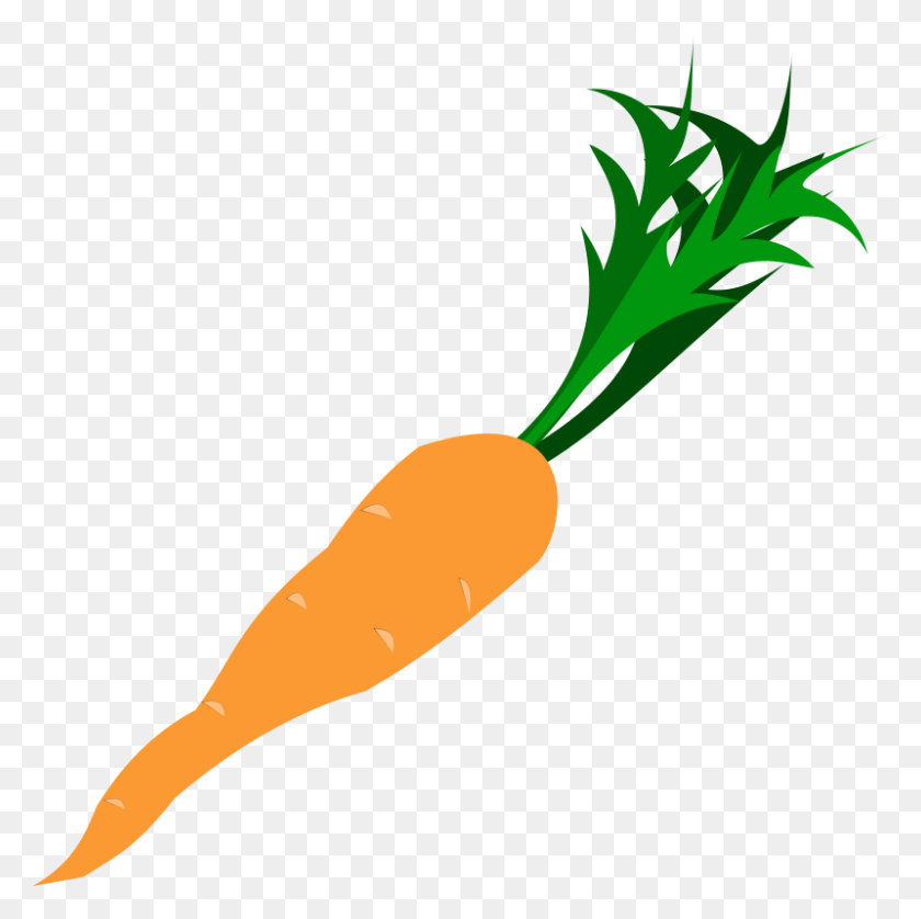 800x798 Морковь Клипарты - Морковь Png