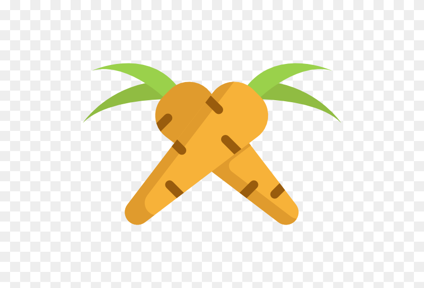 512x512 Carrots Icon - Carrots PNG