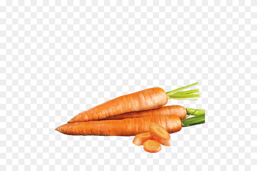 500x500 Значок Морковь Кастор Поллукс Натуральные Сети - Морковь Png