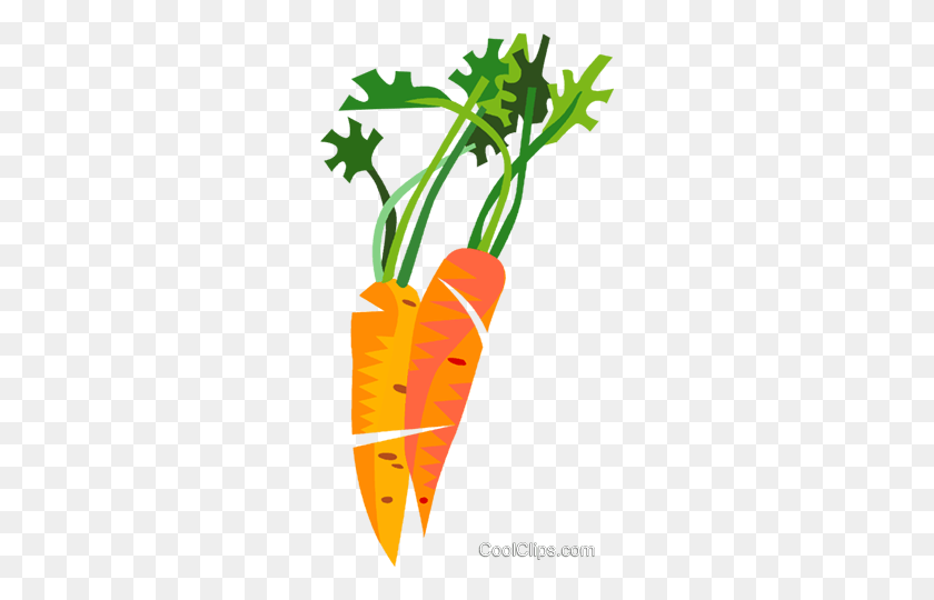 264x480 Carrots Royalty Free Vector Clip Art Illustration - Carrot Clipart