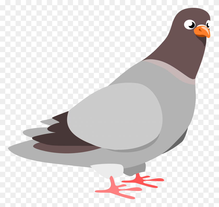 2400x2263 Cartoon Birds - Dove Black And White Clipart