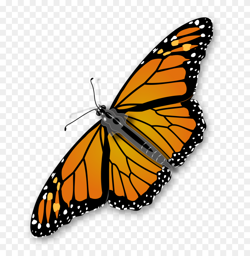 691x800 Cartoon Bug Insect Clip Art - Free Butterfly Clipart Images
