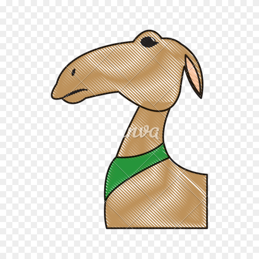 800x800 Cartoon Camel Animal Manger Design - Wood Duck Clip Art