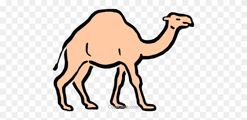 480x347 Cartoon Camel Royalty Free Vector Clip Art Illustration - Camel Clipart