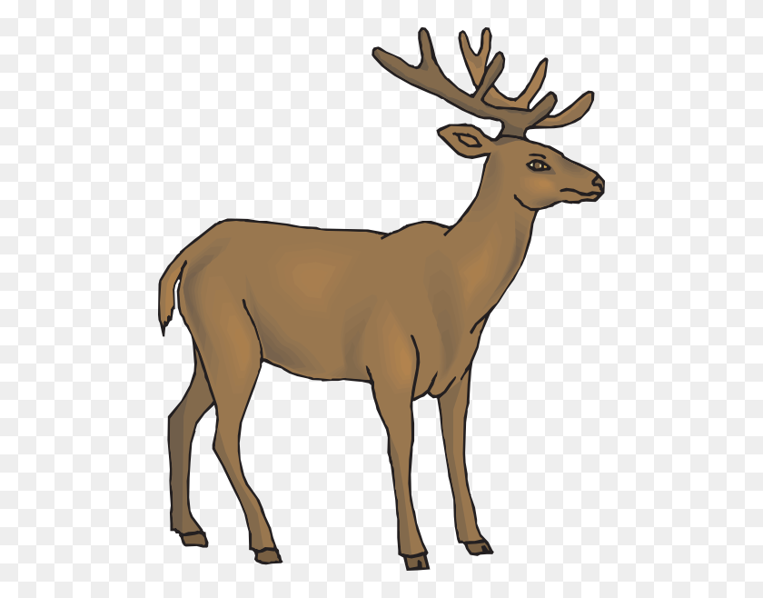 492x598 Cartoon Deer Clipart - Buck Clipart