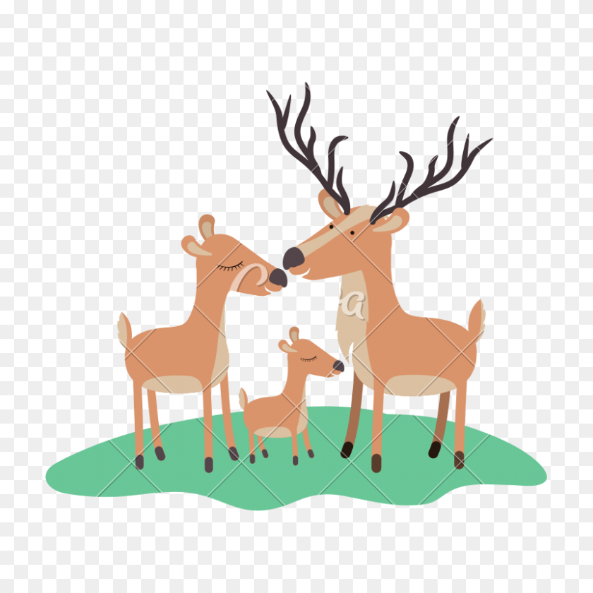 800x800 Cartoon Deer Couple And Calf Over Grass In Colorful Silhouette - Woodland Deer Clipart