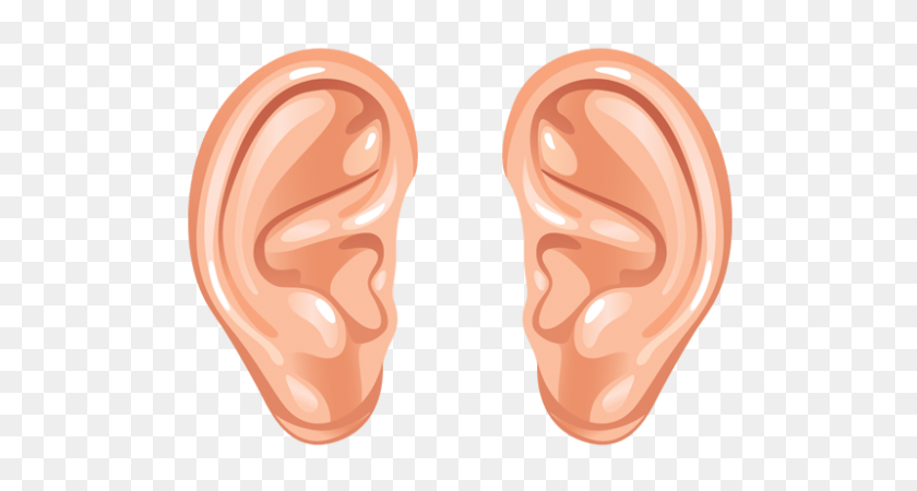 800x400 Cartoon Ears Transparent Png - Ear PNG