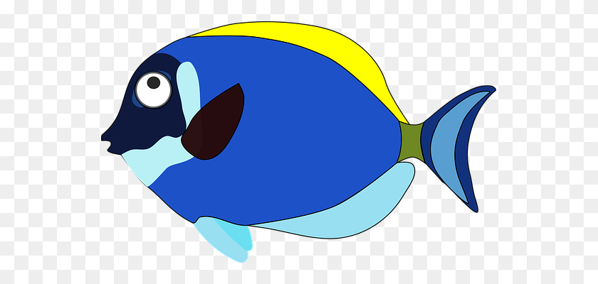 555x340 Cartoon Fish Clip Art - Funny Fish Clipart