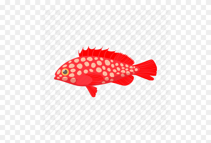512x512 Cartoon, Fish, Fishing, Hemichromis, Sea, Trout, Water Icon - Trout PNG
