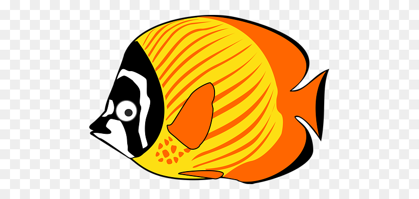 481x340 Cartoon Fish Sea Tropical Fish Fish Fish F - Tropical Fish PNG