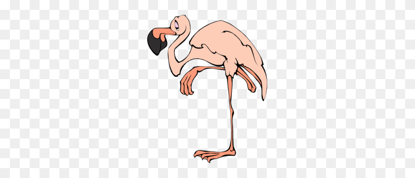 243x300 Flamingo De Dibujos Animados Png, Imágenes Prediseñadas Para Web - Flamingo Clipart
