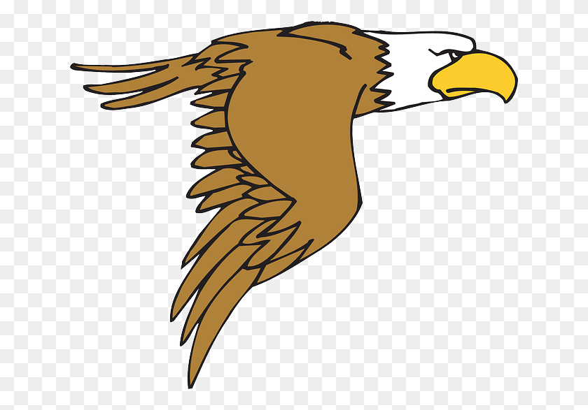 640x527 Cartoon Flying Bird - American Eagle Clipart