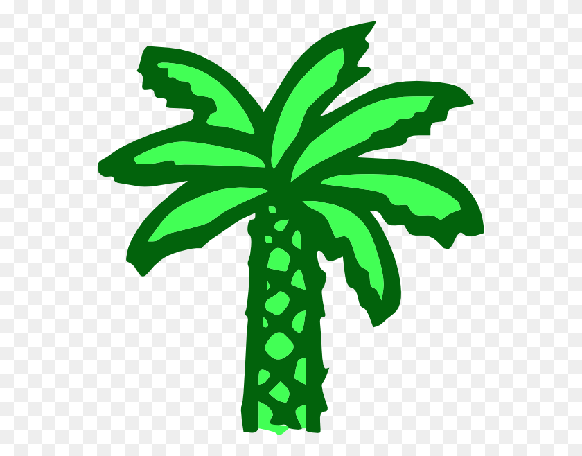 558x598 Cartoon Green Palm Tree Clip Art Free Vector - Palm Tree Clip Art Free