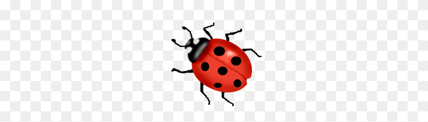 215x181 Cartoon Ladybug - Ladybug PNG
