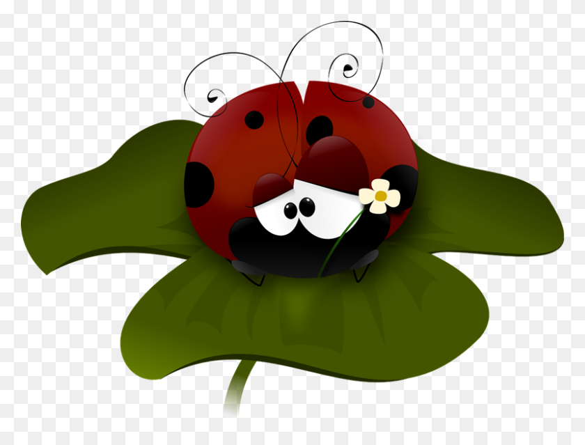 800x594 Cartoon Ladybug Clipart - Fruit Fly Clipart